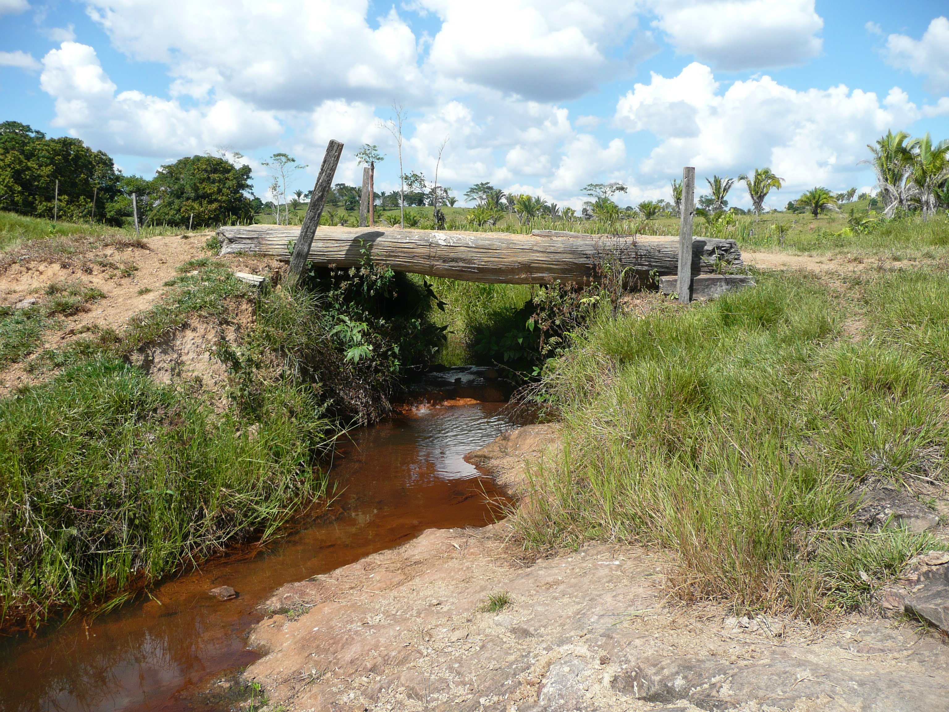Picture by Katrina Mullan of pasture and creek in Brazil